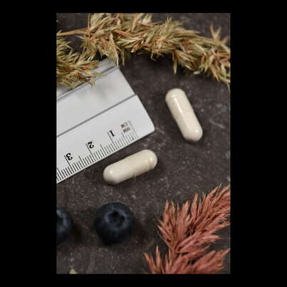 Supplementa Mega-Multi-Mineral Kapseln, A-Nr.: 5574177 - 04