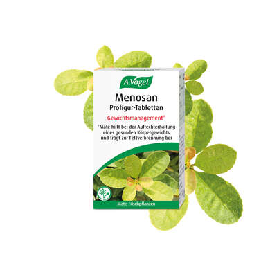 Sie sehen eine Packung A.Vogel Menosan Profigur-Tabletten, Produktbild: 03 A.Vogel Menosan Profigur-Tabletten, A-Nr.: 5082439 - 03