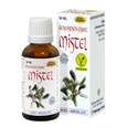 Espara Mistel Alchemistische Essenz, A-Nr.: 4040226 - 02