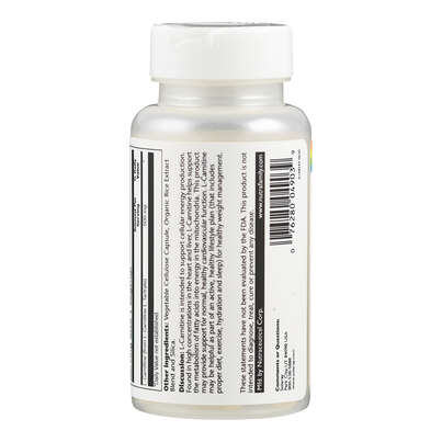 Supplementa L-Carnitin 500 mg, A-Nr.: 5597899 - 03