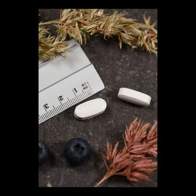 Supplementa L-Lysin 500mg Tabletten, A-Nr.: 5395345 - 04