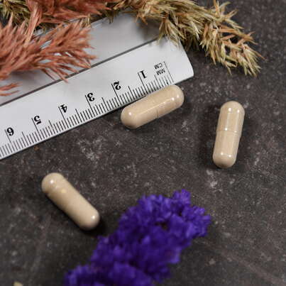 Supplementa Intolerance Complex™ Kapseln, A-Nr.: 5395546 - 04