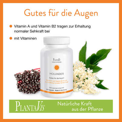 Holunder Kapseln, A-Nr.: 4488671 - 03