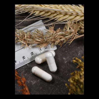 Supplementa Homocystein Modifier Kapseln, A-Nr.: 5396416 - 04