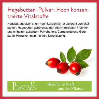 Sie sehen eine Packung Hagebutte Pulver 150g, Produktbild: 04 Hagebutte Pulver 150g, A-Nr.: 4545357 - 04