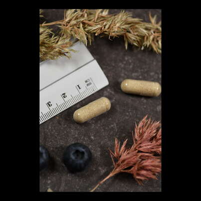 Supplementa Hair Force Kapseln KAL, A-Nr.: 5597729 - 05