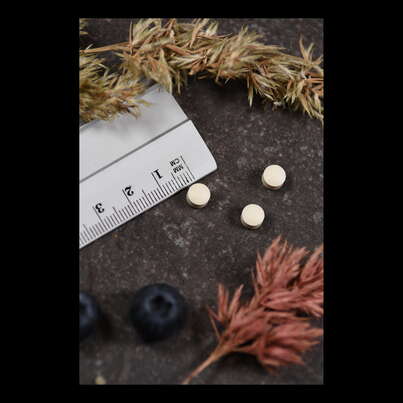 Supplementa Folsäure 800mcg +B12 Tabletten, A-Nr.: 5395397 - 04