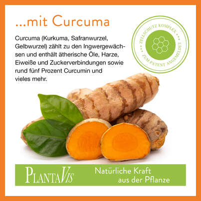 FeuerSturm - Curcuma plus Weihrauch Kapseln, A-Nr.: 4488665 - 02