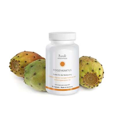 Sie sehen eine Packung Feigenkaktus Kapseln, Produktbild: 01 Feigenkaktus Kapseln, A-Nr.: 4488725 - 01