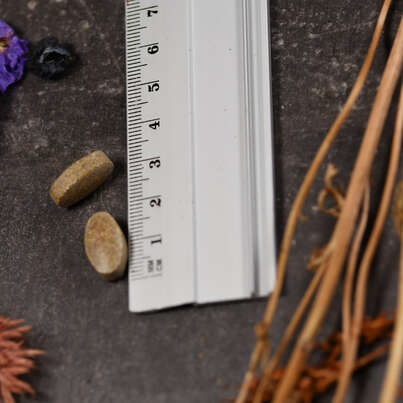 Supplementa EYE FORMULA Plus Tabletten, A-Nr.: 5396014 - 04