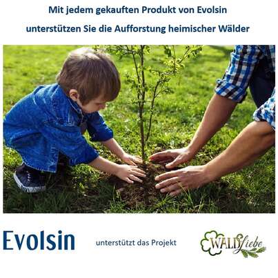 Sie sehen eine Packung Evolsin Augen-Kur Premium Konzentrat, Produktbild: 02 Evolsin Augen-Kur Premium Konzentrat, A-Nr.: 5396988 - 02
