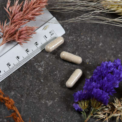 Supplementa Enzyme Defense, A-Nr.: 5396273 - 04