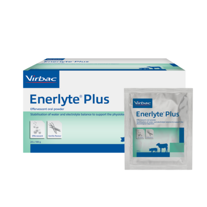 Enerlyte Plus für Kälber und Absatzferkel, A-Nr.: 4345078 - 01