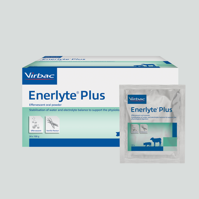 Enerlyte Plus für Kälber und Absatzferkel, A-Nr.: 4345078 - 02