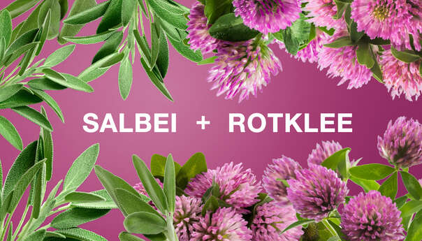 Sie sehen eine Packung Dr. Böhm Wechseljahre, Produktbild: 06 Dr. Böhm Wechseljahre, A-Nr.: 4554681 - 06