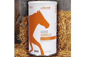 Good Aging 24 Horse, A-Nr.: 5807144 - 01