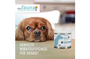 Burma Spirulina Chips DOG 90g, A-Nr.: 5755074 - 01