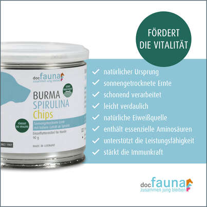 Burma Spirulina Chips DOG 90g, A-Nr.: 5755074 - 02