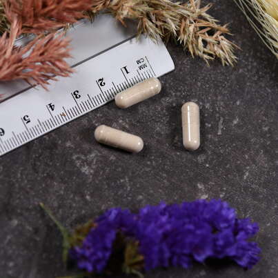 Supplementa Digest™ Kapseln, A-Nr.: 5395552 - 04