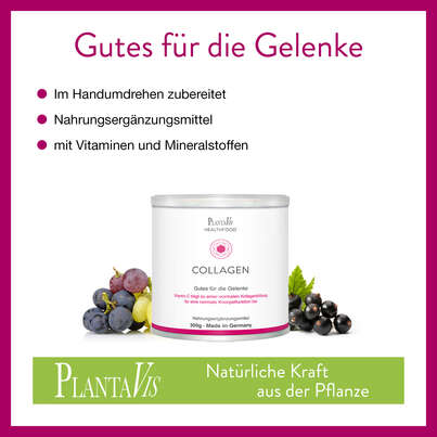 Sie sehen eine Packung Collagen Drink - Gutes für die Gelenke, Produktbild: 03 Collagen Drink - Gutes für die Gelenke, A-Nr.: 5606397 - 03