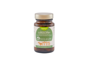 Gamu Cordicipin | Cordyceps sinensis Kapseln, A-Nr.: 5600207 - 01