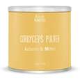 Cordyceps Pulver 350g, A-Nr.: 4546954 - 01