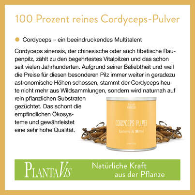 Cordyceps Pulver 350g, A-Nr.: 4546954 - 02