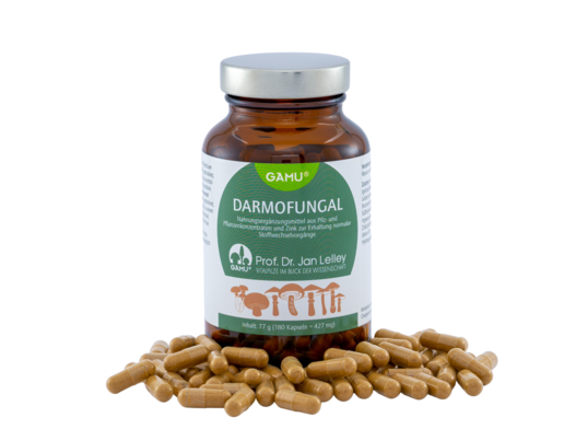 Sie sehen eine Packung Gamu DarmoFungal Kapseln, Produktbild: 02 Gamu DarmoFungal Kapseln, A-Nr.: 5600294 - 02