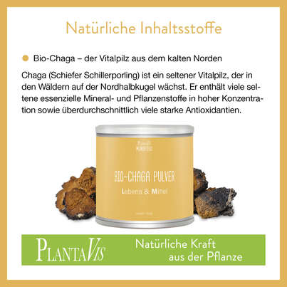 Bio Chaga Pulver 70g, A-Nr.: 4593327 - 02