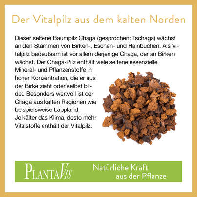 Bio Chaga Pulver 145g, A-Nr.: 4546931 - 04
