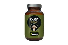 Hanoju Chaga Pilz Extrakt Tabletten 400mg, A-Nr.: 4256156 - 01