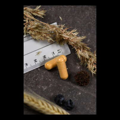 Supplementa Coenzym B-Komplex Kapseln, A-Nr.: 5396362 - 05