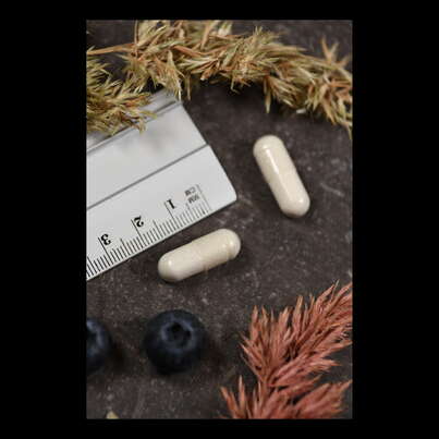 Supplementa BONE DEFENSE Kapseln, A-Nr.: 5395954 - 04