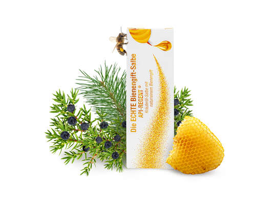 Sie sehen eine Packung Die echte Bienengift-Salbe Api-Regent, Produktbild: 01 Die echte Bienengift-Salbe Api-Regent, A-Nr.: 5305885 - 01