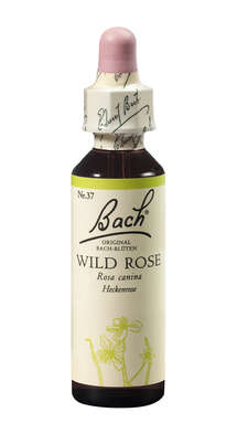Sie sehen eine Packung Bach®-Blüte Nr. 37 Wild Rose (Heckenrose), Produktbild: 01 Bach®-Blüte Nr. 37 Wild Rose (Heckenrose), A-Nr.: 5323423 - 01