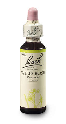 Sie sehen eine Packung Bach®-Blüte Nr. 37 Wild Rose (Heckenrose), Produktbild: 02 Bach®-Blüte Nr. 37 Wild Rose (Heckenrose), A-Nr.: 5323423 - 02