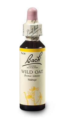 Sie sehen eine Packung Bach®-Blüte Nr. 36 Wild Oat (Waldtrespe), Produktbild: 03 Bach®-Blüte Nr. 36 Wild Oat (Waldtrespe), A-Nr.: 5323417 - 03