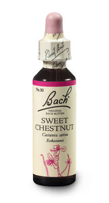 Sie sehen eine Packung Bach®-Blüte Nr. 30 Sweet Chestnut (Esskastanie), Produktbild: 03 Bach®-Blüte Nr. 30 Sweet Chestnut (Esskastanie), A-Nr.: 5323340 - 03