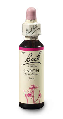 Sie sehen eine Packung Bach®-Blüte Nr. 19 Larch (Lärche), Produktbild: 03 Bach®-Blüte Nr. 19 Larch (Lärche), A-Nr.: 5322978 - 03