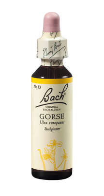 Sie sehen eine Packung Bach®-Blüte Nr. 13 Gorse (Stechginster), Produktbild: 01 Bach®-Blüte Nr. 13 Gorse (Stechginster), A-Nr.: 5322760 - 01