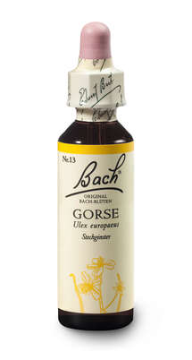 Sie sehen eine Packung Bach®-Blüte Nr. 13 Gorse (Stechginster), Produktbild: 02 Bach®-Blüte Nr. 13 Gorse (Stechginster), A-Nr.: 5322760 - 02