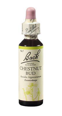 Sie sehen eine Packung Bach®-Blüte Nr. 7 Chestnut Bud (Kastanienknospe), Produktbild: 01 Bach®-Blüte Nr. 7 Chestnut Bud (Kastanienknospe), A-Nr.: 5322843 - 01