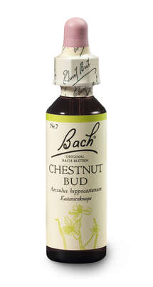 Sie sehen eine Packung Bach®-Blüte Nr. 7 Chestnut Bud (Kastanienknospe), Produktbild: 02 Bach®-Blüte Nr. 7 Chestnut Bud (Kastanienknospe), A-Nr.: 5322843 - 02