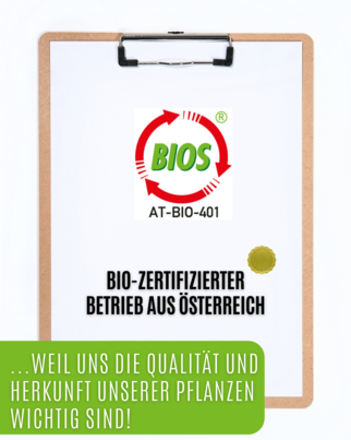 Auwald® - Beifuss BIO Tropfen (Auszug, Extrakt, Essenz), A-Nr.: 5709588 - 03