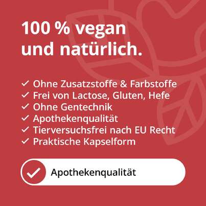 Ashwagandha Kapseln KSM-66® plus Magnesium, Zink und Vitamin B6, A-Nr.: 5820713 - 02