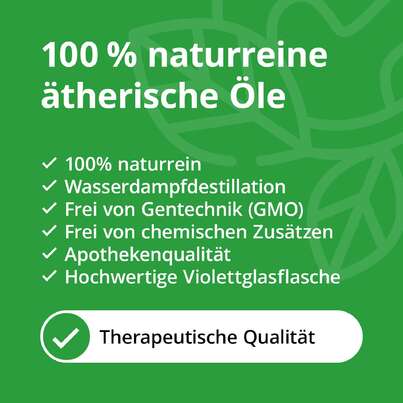 Sie sehen eine Packung TOP 6 Ätherische Öle Set, Produktbild: 05 TOP 6 Ätherische Öle Set, A-Nr.: 5304360 - 05
