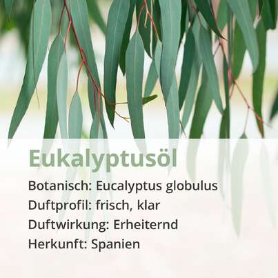 Sie sehen eine Packung Eukalyptusöl, Produktbild: 02 Eukalyptusöl, A-Nr.: 5178576 - 02