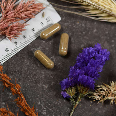 Supplementa Acid Soothe Kapseln, A-Nr.: 5395635 - 04