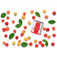 BIO Acerola Vitamin C Fruchtpulver, mit 17% natürlichem Vitamin C, 100g, A-Nr.: 5229026 - 02