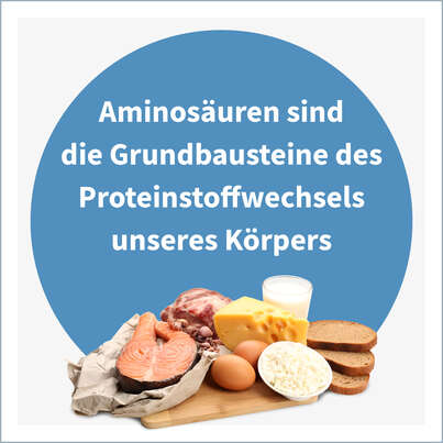 Sie sehen eine Packung NatuGena BCAA Kapseln, Produktbild: 03 NatuGena BCAA Kapseln, A-Nr.: 5699111 - 03